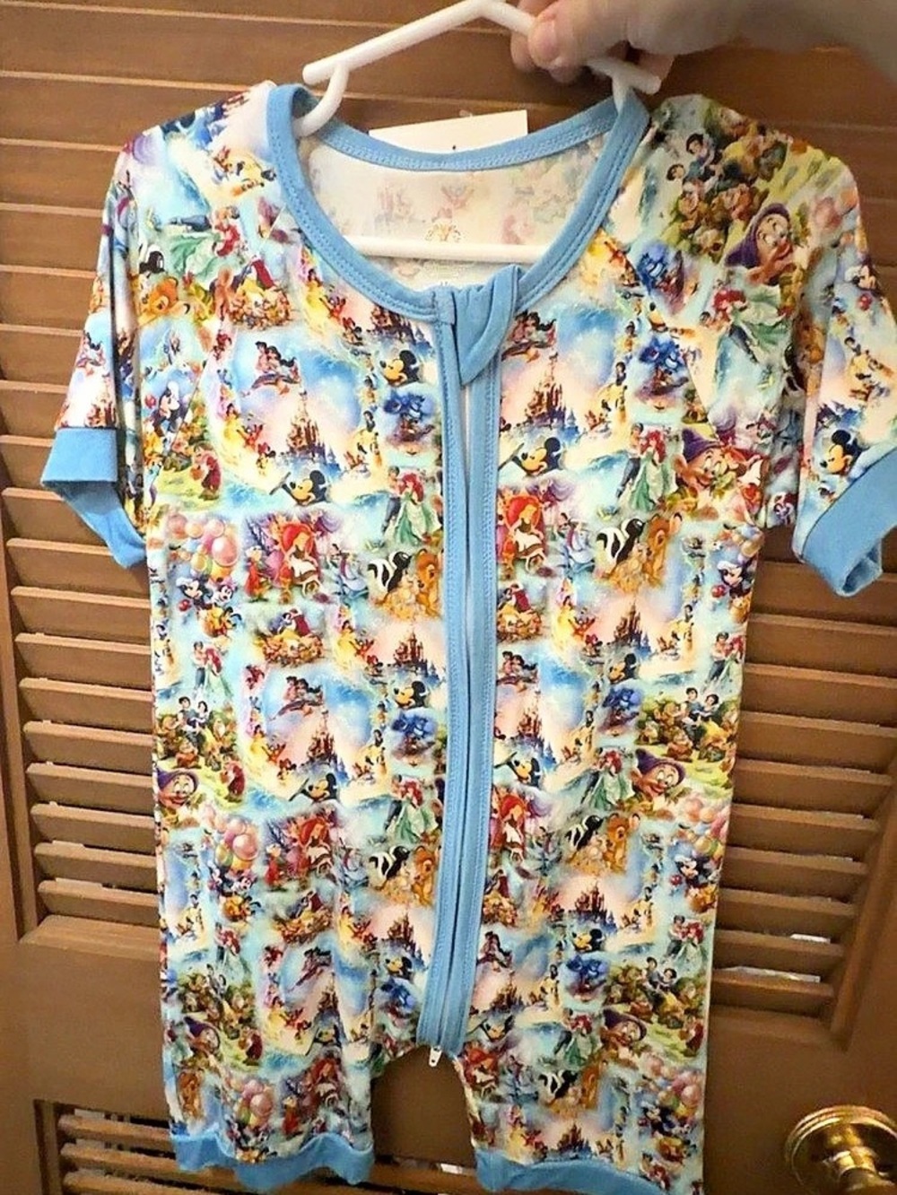 Disney Mashup Bamboo Shorty Zippy